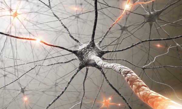 Nguyên nhân gây bệnh vẫn chưa được biết rõ