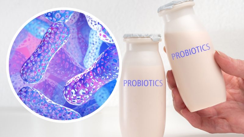 Thực phẩm chứa probiotic giúp cân bằng hệ vi sinh vật trong miệng