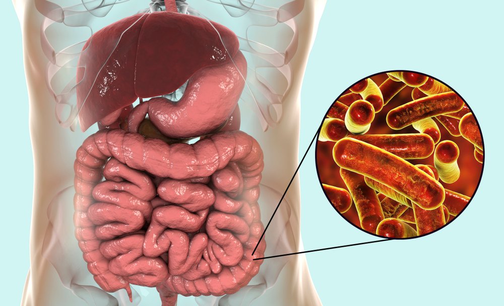 Entamoeba histolytica là tác nhân gây bệnh lỵ amip