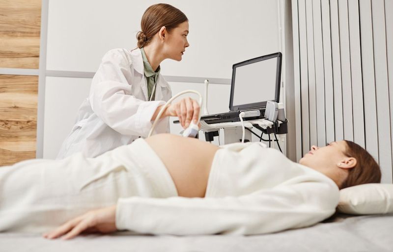 Hình minh họa sơ đồ vị trí tĩnh mạch chủ trên trong cơ thể con người