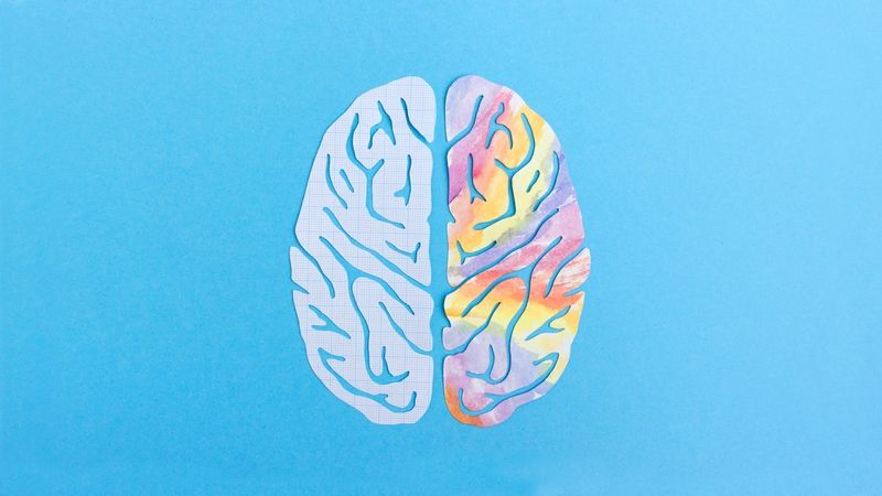 Não bộ gồm nhiều cấu trúc khác nhau phối hợp điều khiển hoạt động của cơ thể
