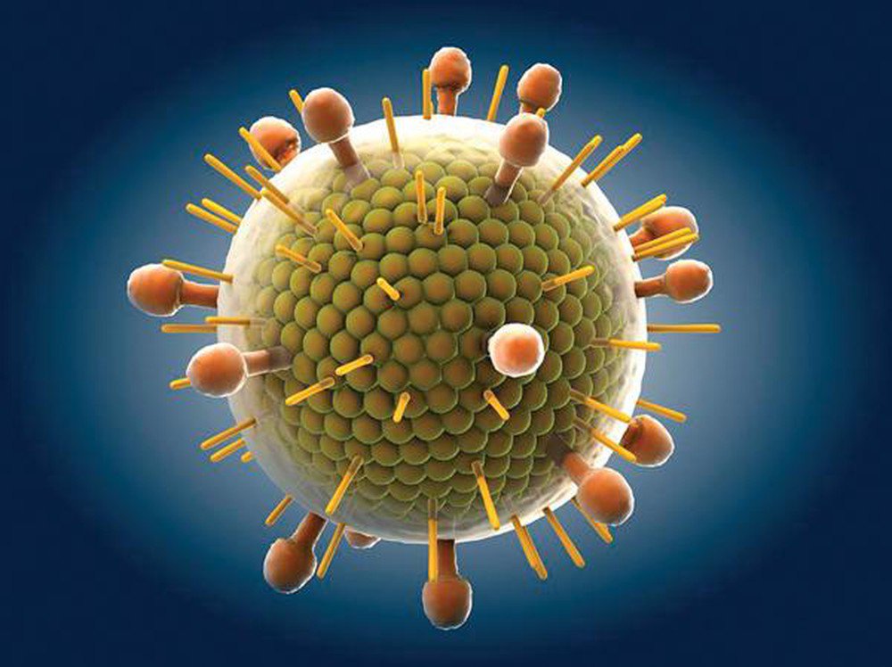 Virus quai bị là 1 trong những nguyên nhân gây viêm tinh hoàn ở nam giới