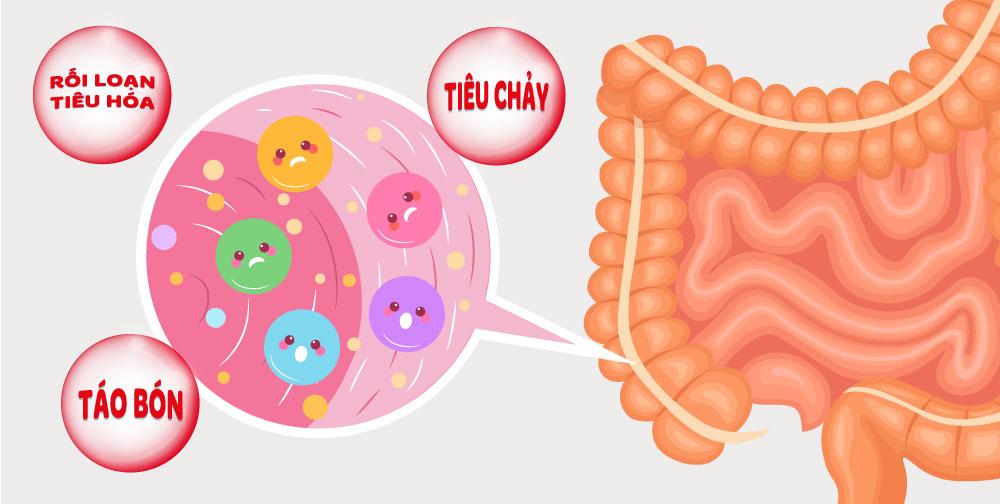 Nhiễm trùng đường ruột 