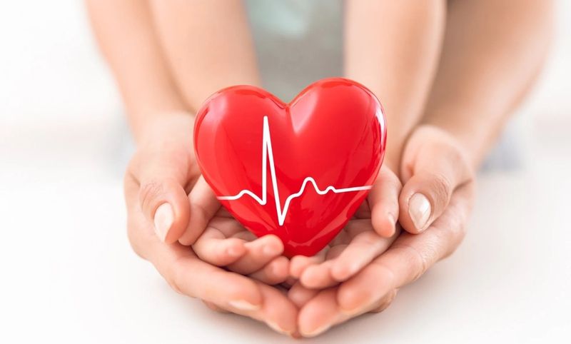 Sử dụng hạt Konia với liều lượng hợp lý mỗi ngày đem lại hiệu quả cải thiện mỡ máu tích cực