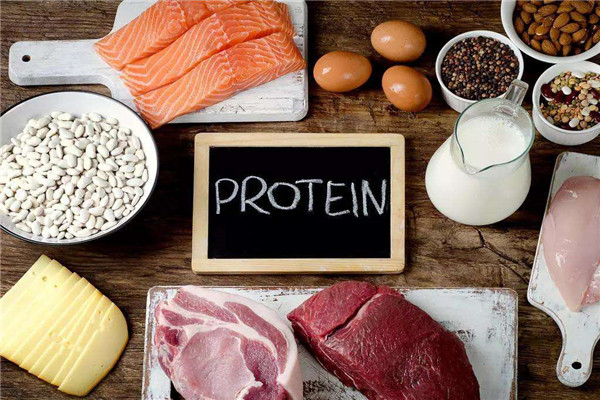 Chế độ ăn nhiều protein