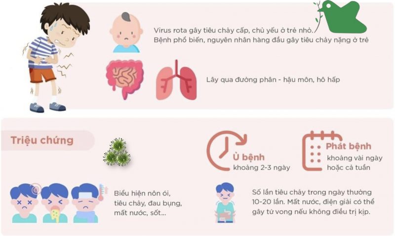 TRẺ BỊ ROTA CẦN BÙ NƯỚC ORESOL VÀ ĐIỆN GIẢI THEO HƯỚNG DẪN CỦA BÁC SĨ CHUYÊN KHOA
