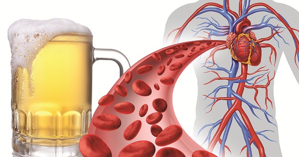 Nguy cơ tiềm ẩn của rượu bia với não bộ