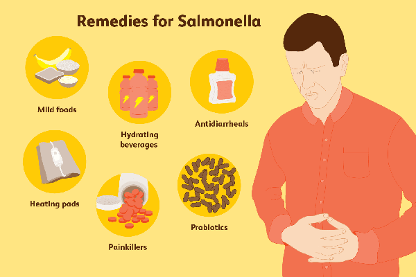 Điều trị nhiễm vi khuẩn salmonella