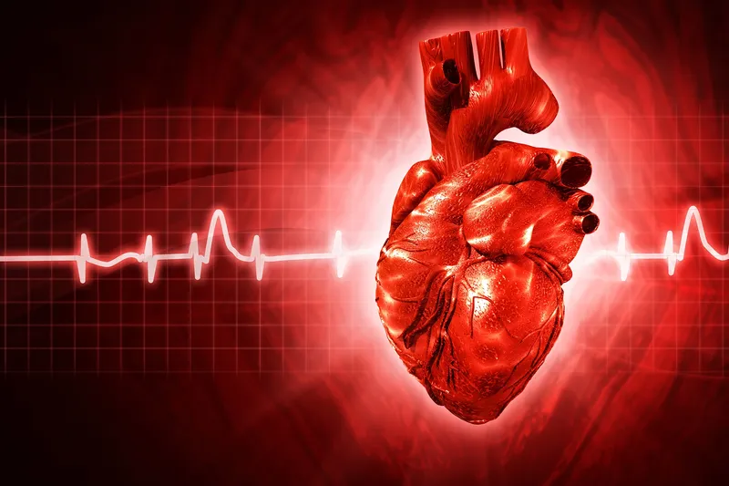 Tự đo nhịp tim thường xuyên giúp bạn hiểu rõ giới hạn và sự tiến bộ của cơ thể 