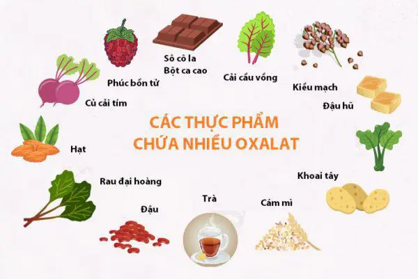 Chế độ ăn chứa nhiều oxalat cũng là một nguyên nhân gây ra sỏi niệu quản. 