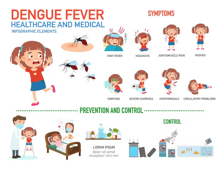 Bệnh sốt xuất huyết là một bệnh truyền nhiễm do virus gây ra