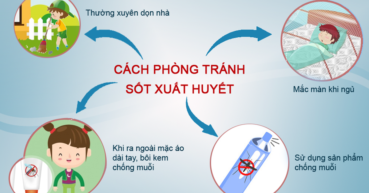 Phòng bệnh sốt xuất huyết 