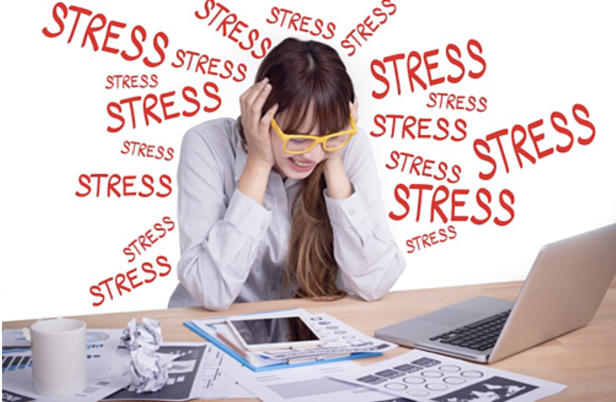 Stress là gì?