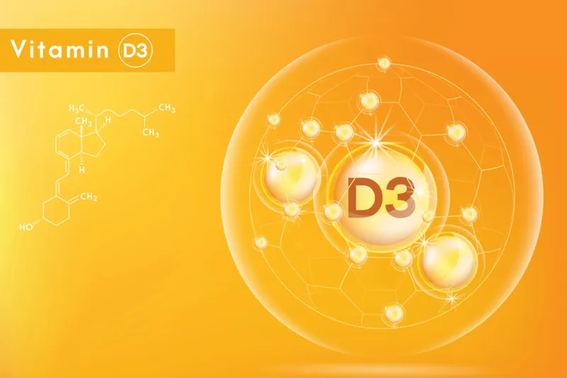 Vitamin D3 được các chuyên gia đánh giá cao hơn về khả năng duy trì nồng độ ổn định trong máu 