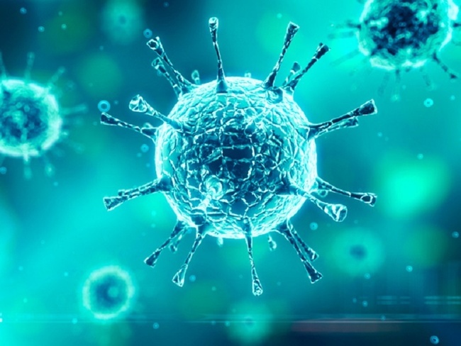 Enterovirus là nguyên nhân gây bệnh tay chân miệng