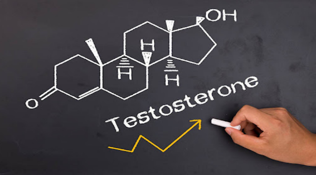 Testosterone là hormone cực kỳ quan trọng đối nam giới