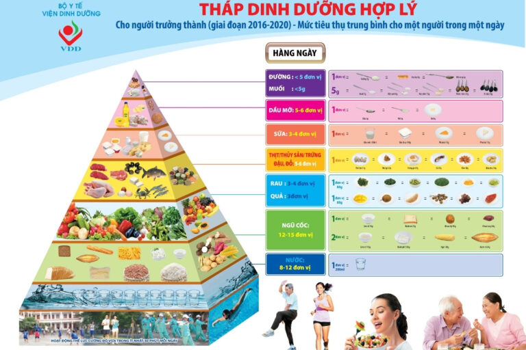 Cần xây dựng tháp dinh dưỡng dựa trên tình trạng sức khoẻ, nhu cầu cá nhân và cân đối thực phẩm