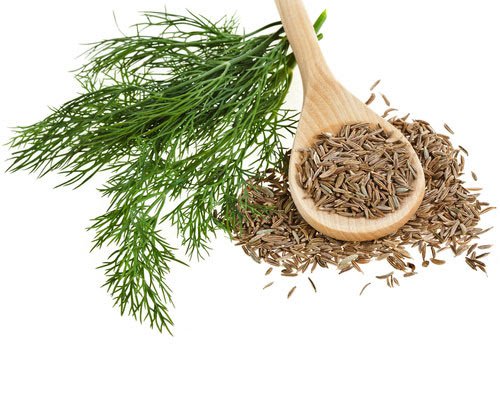 Quả caraway khô với hình dáng trăng khuyết đặc trưng chứa hàm lượng tinh dầu cao (Nguồn: Sưu tầm)