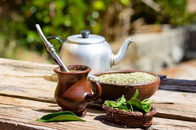 Lựa chọn nguyên liệu trà mate chất lượng để đảm bảo an toàn