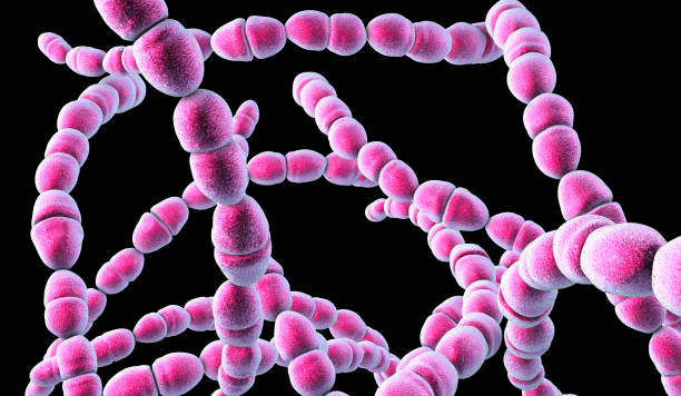 Nhiễm khuẩn Streptococcus nhóm A có thể dẫn đến viêm cầu thận cấp