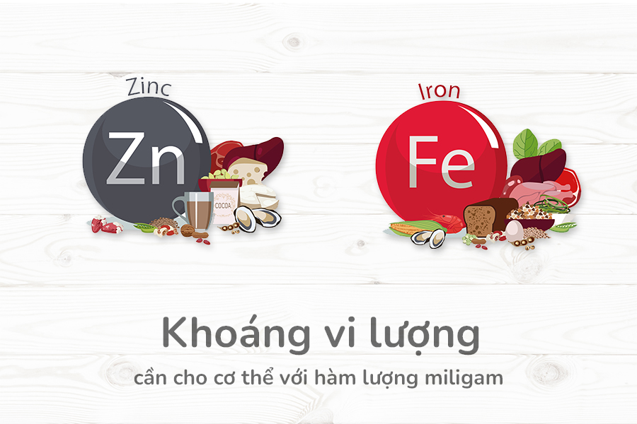 Vi khoáng là những khoáng chất vi lượng cần thiết và không thể thiếu trong 