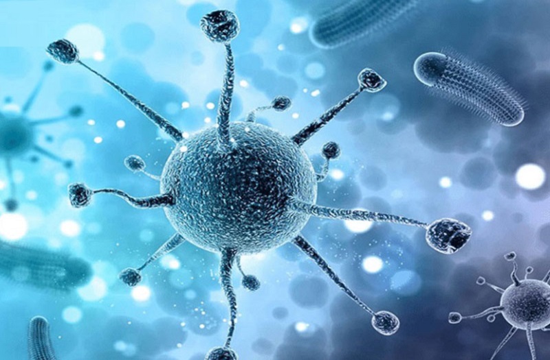 Viêm họng cấp thường do virus, vi khuẩn gây ra