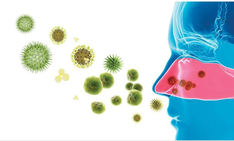 Tiếp xúc với virus gây viêm họng hạt