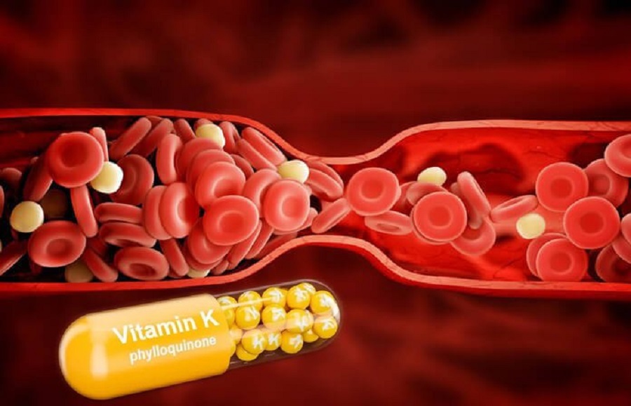 Vai trò của Vitamin K