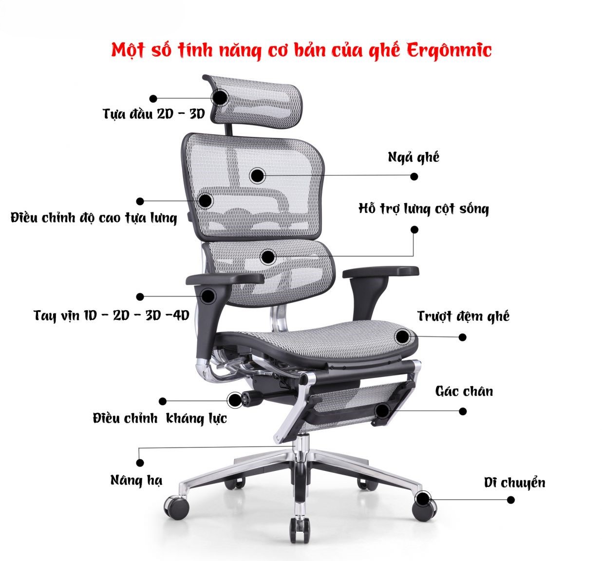 Sử dụng ghế ergonomic giúp giảm áp lực lên cột sống và cải thiện tư thế ngồi