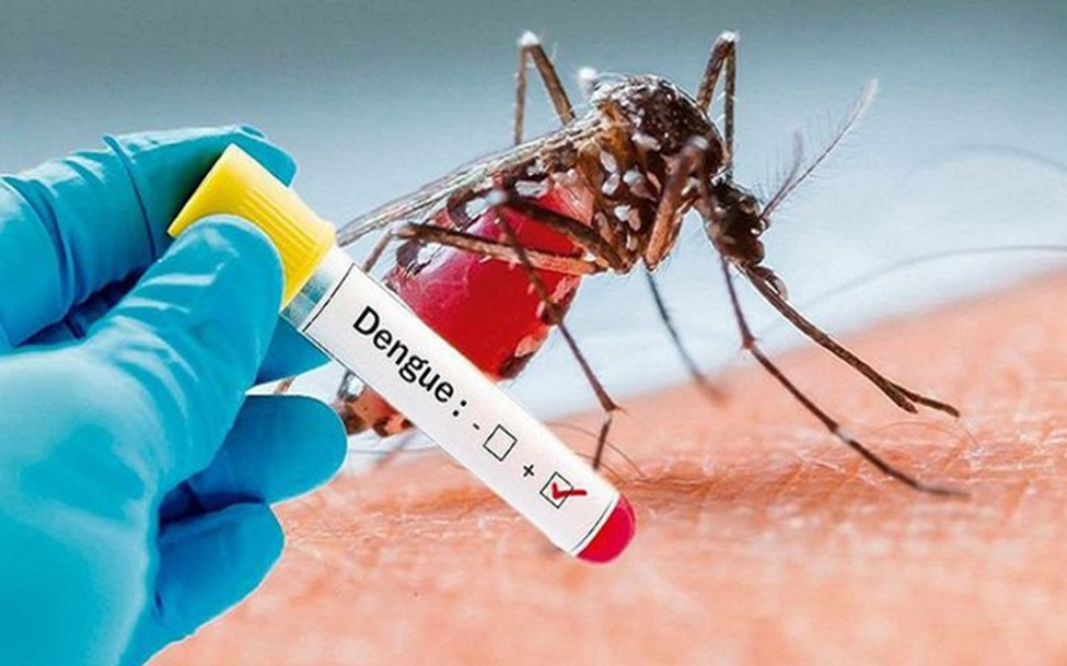 Muỗi Aedes là nguyên nhân chính gây bệnh