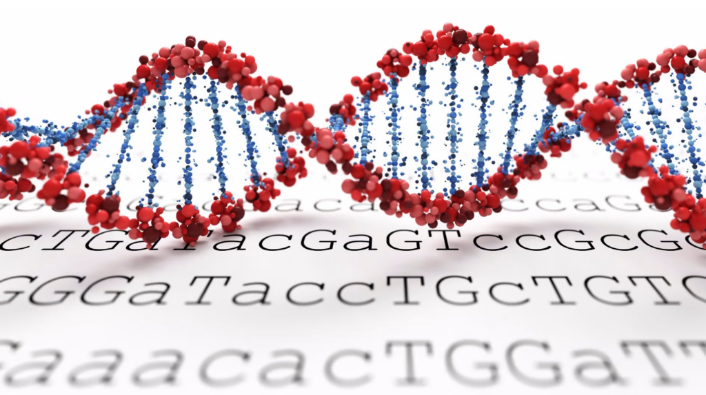 Bệnh xơ cứng củ có thể di truyền