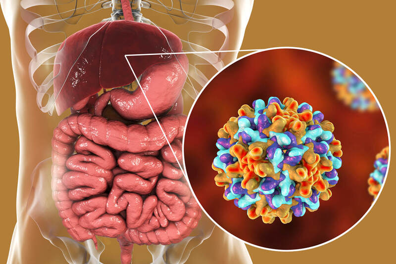 Nếu xơ gan do viêm gan virus thì cần phải điều trị nguyên nhân