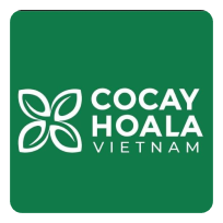 Cocayhoala