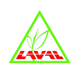 Lava