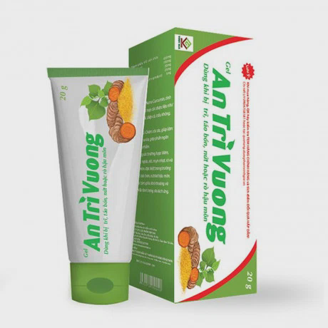 Gel bôi trĩ An Trĩ Vương 20g