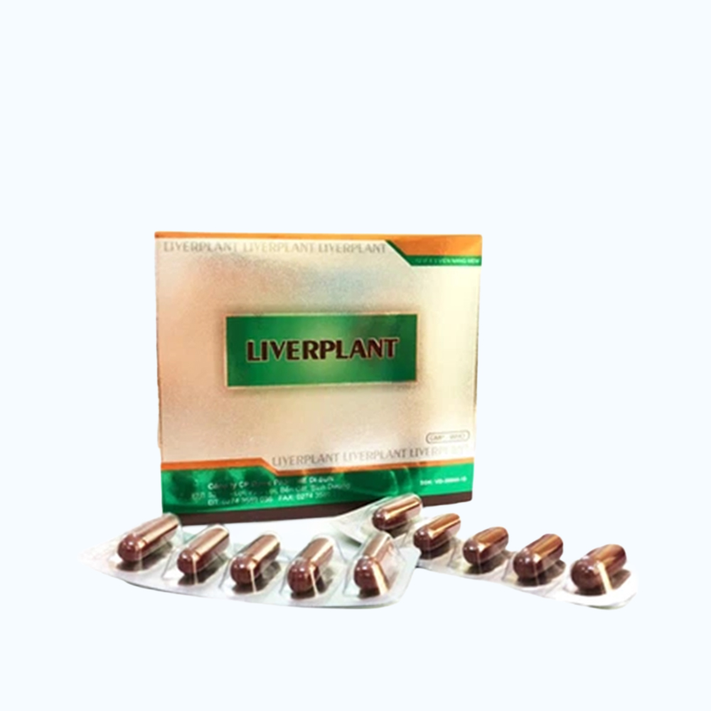 Liverplant Medisun H60V trị gan mãn tính, gan nhiễm mỡ