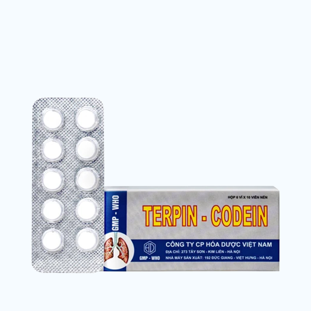 Terpin codein 10/100 hóa dược (Hộp 10 vỉ x 10 viên)