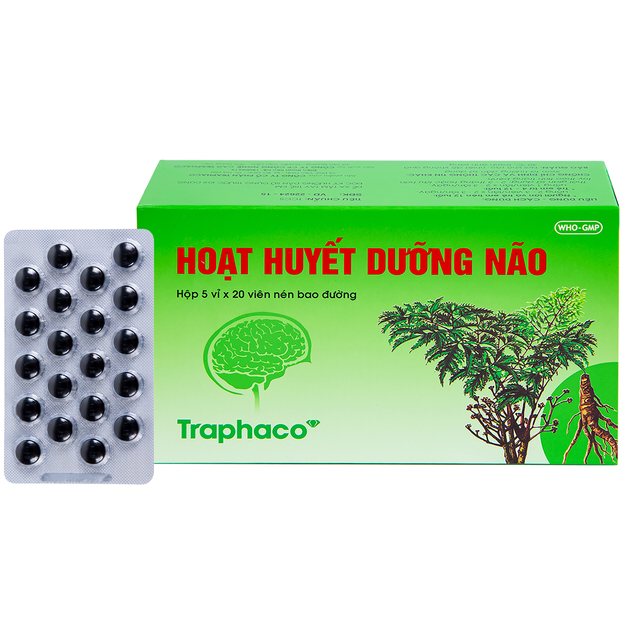 Hoạt Huyết Dưỡng Não Traphaco điều trị suy giảm trí nhớ (5 vỉ x 20 viên)