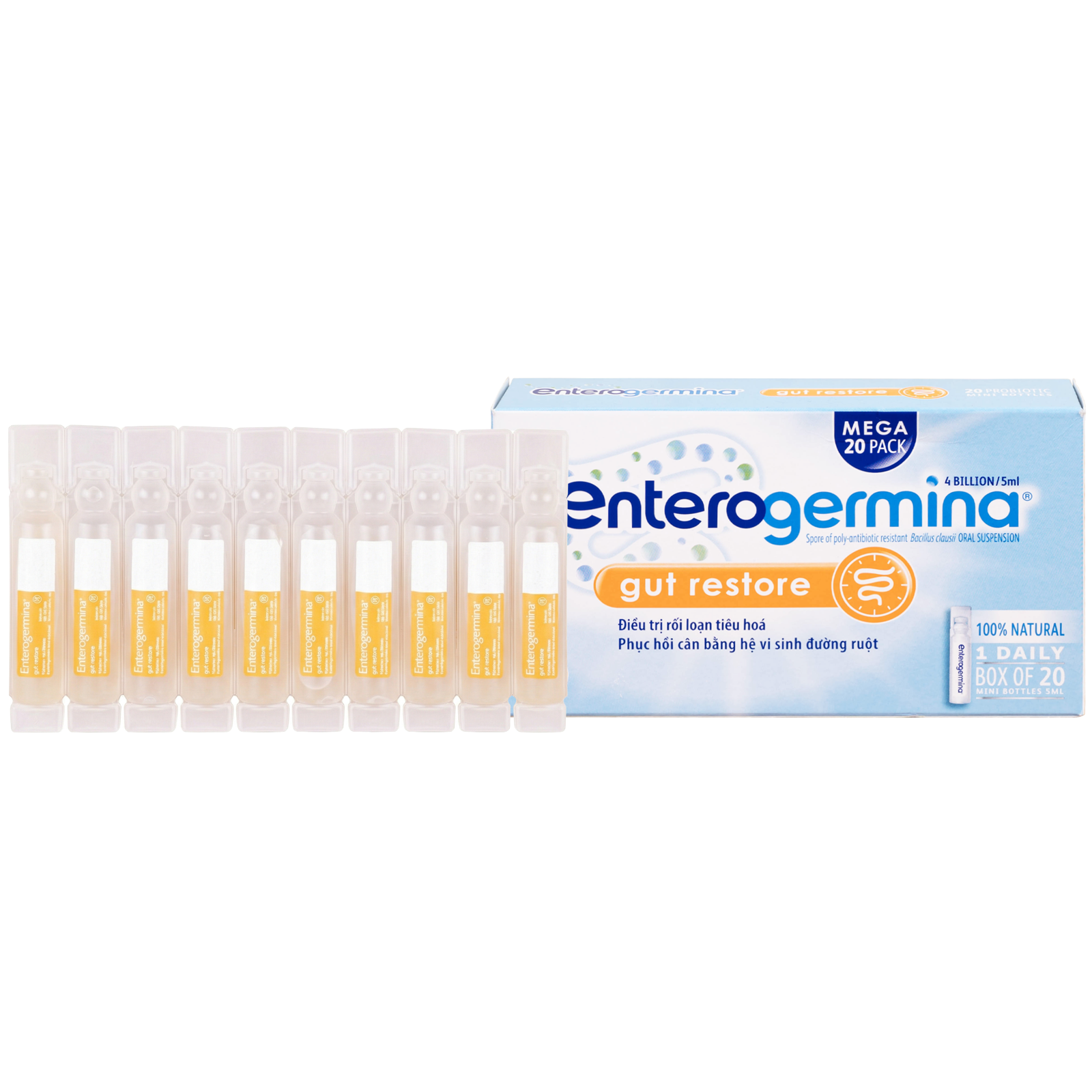 Thuốc hỗ trợ tiêu hóa Enterogermina Gut Restore (Hộp 20 ống)