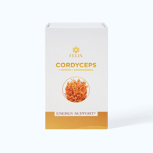 Viên uống Felix Cordyceps đông trùng hạ thảo hỗ trợ bồi cơ thể (Hộp 100 viên)