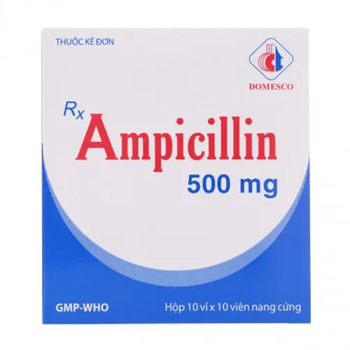 Viên nang Ampicilin 500mg - Domesco điều trị nhiễm khuẩn (10 vỉ x 10 viên)