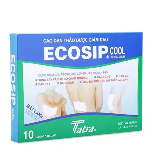 Cao dán Ecosip Cool giảm đau cơ xương khớp (2 gói x 5 miếng)