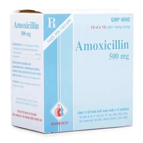 Viên nang Amoxicillin 500mg - Domesco điều trị nhiễm khuẩn (10 vỉ x 10 viên)
