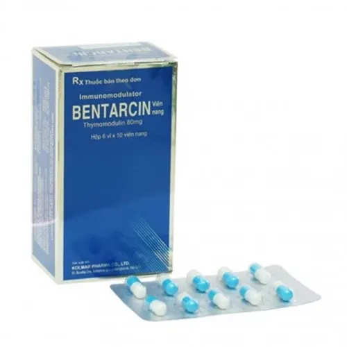 Viên nang cứng Bentarcin dự phòng tái phát nhiễm khuẩn hô hấp, viêm mũi dị ứng (6 vỉ x 10 viên)