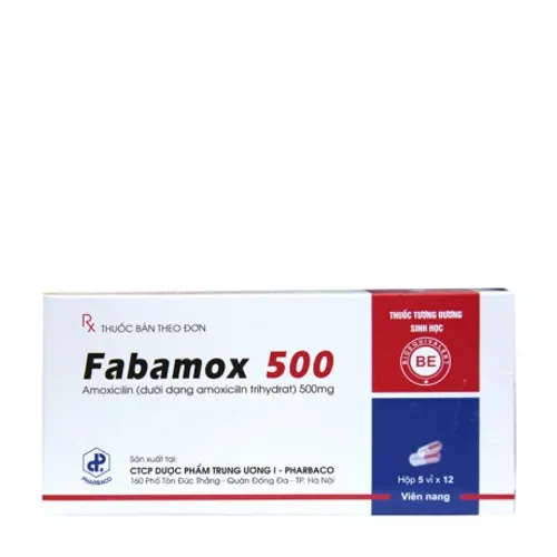 Viên nang Fabamox 500mg kháng sinh điều trị nhiễm khuẩn (5 vỉ x 12 viên)