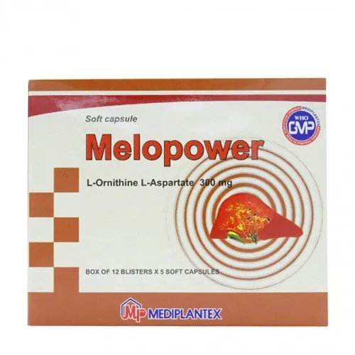 Viên nang Melopower 300mg điều trị viêm gan, xơ gan (12 vỉ x 5 viên)