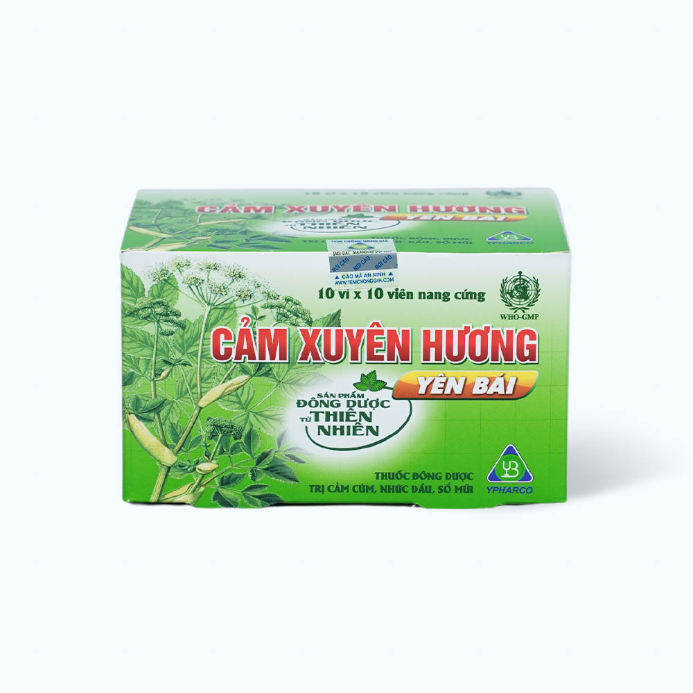 Viên nang Cảm xuyên hương trị các triệu chứng ho cảm thông thường (10 vỉ x 10 Viên)