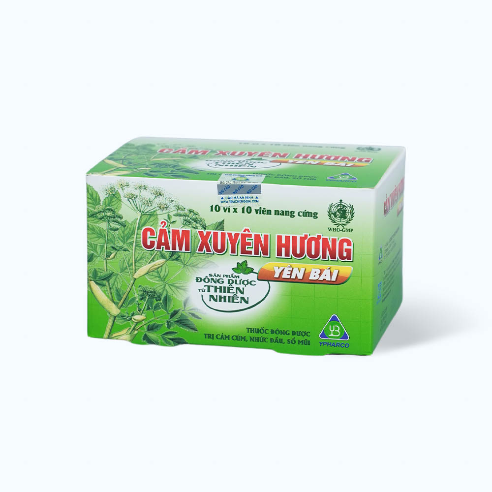 Viên nang Cảm xuyên hương trị các triệu chứng ho cảm thông thường (10 vỉ x 10 Viên)