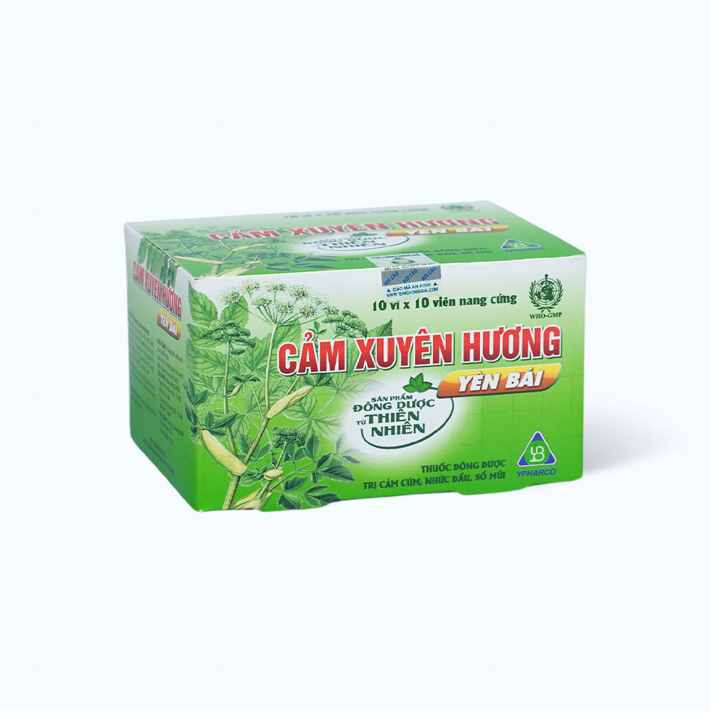 Viên nang Cảm xuyên hương trị các triệu chứng ho cảm thông thường (10 vỉ x 10 Viên)