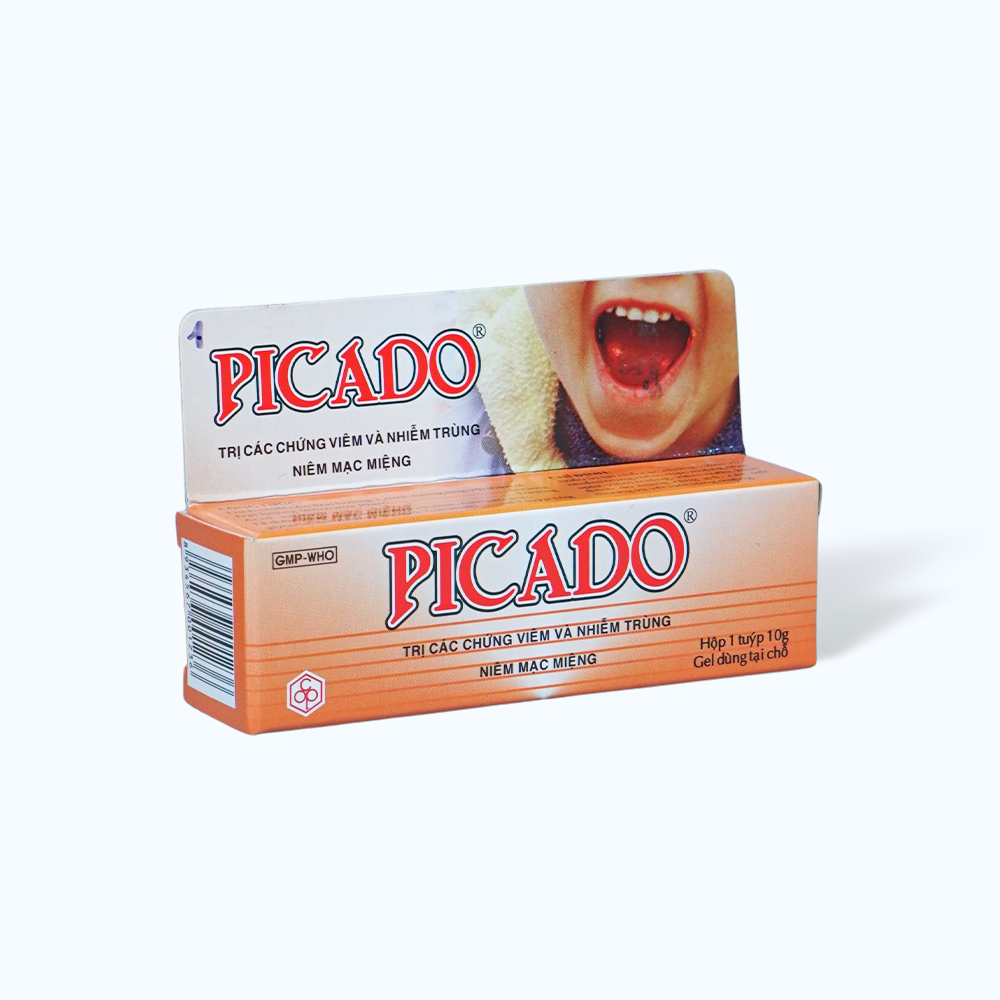 Gel Picado trị viêm và nhiễm trùng niêm mạc miệng (tuýp 10g)